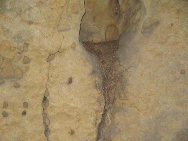 20.2.2009 672.jpg
